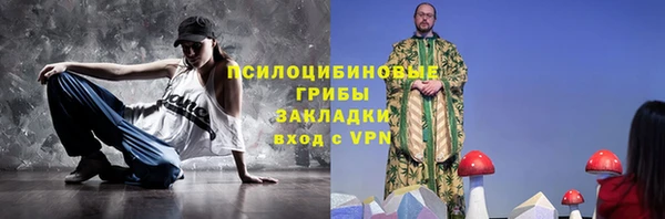 амф Надым