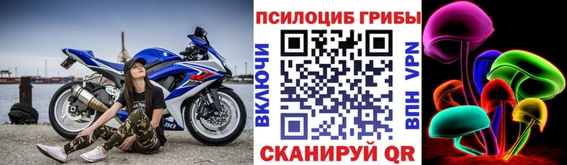 Псилоцибиновые грибы прущие грибы  Сатка 
